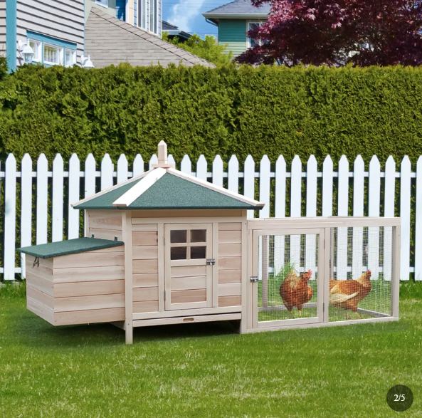 ClovaPet kippenhok met ren in de tuin